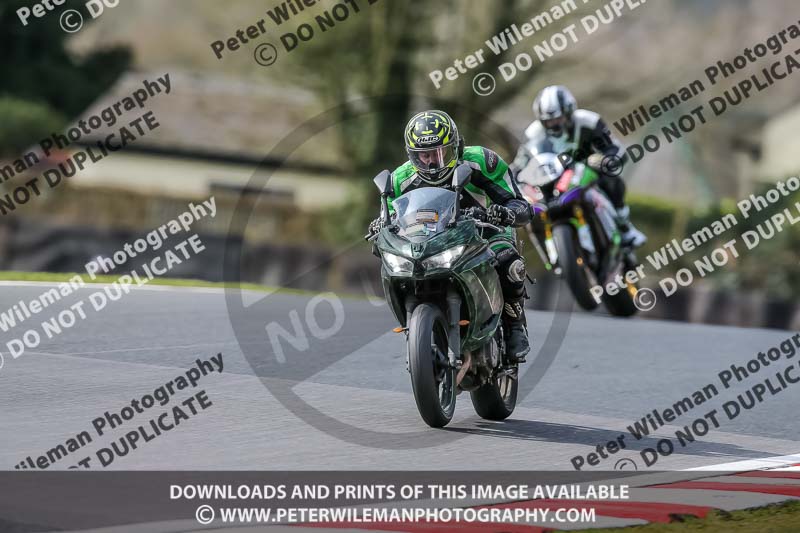 Oulton Park 21st March 2020;PJ Motorsport Photography 2020;anglesey;brands hatch;cadwell park;croft;donington park;enduro digital images;event digital images;eventdigitalimages;mallory;no limits;oulton park;peter wileman photography;racing digital images;silverstone;snetterton;trackday digital images;trackday photos;vmcc banbury run;welsh 2 day enduro